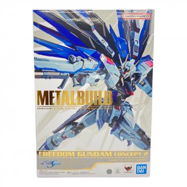 L BUILD デスティニーガンダム メタルビルド 2024 L BUILD
