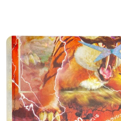 エンテイ＆ライコウＬＥＧＥＮＤ ポケモンカード 064/080