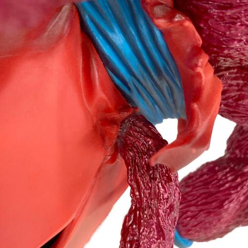 ドラゴンボール 孫悟空：ゼノ 超フルパワー サイヤ人4 限界突破 E賞 フィギュア リペア有