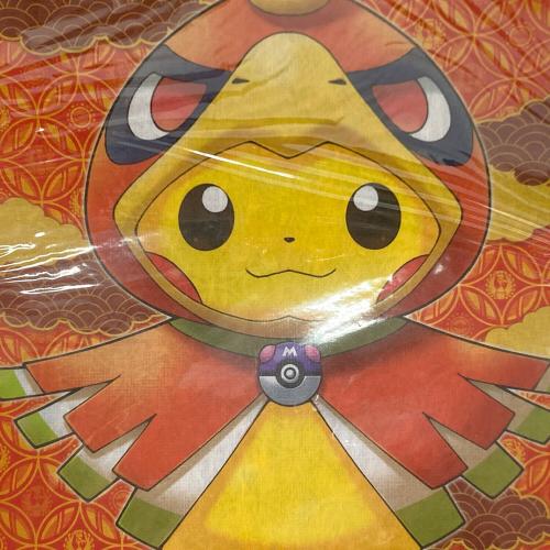 Pokemon Center (ポケモンセンター) A4クリアファイルセット メガポンチョを着たピカチュウ ポケモングッズ
