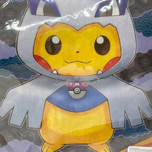Pokemon Center (ポケモンセンター) A4クリアファイルセット メガポンチョを着たピカチュウ ポケモングッズ
