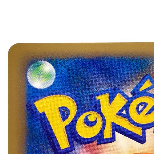 142/141 R団のバンギラス ポケモンカード★VS (ハーフデッキ「リーダーズポケモン 水炎・草雷・闘超＆劇場限定版」)