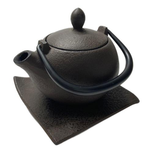 南部鉄器 (ナンブテッキ) 鉄瓶 岩鋳・茶こし付