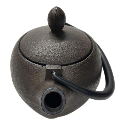 南部鉄器 (ナンブテッキ) 鉄瓶 岩鋳・茶こし付