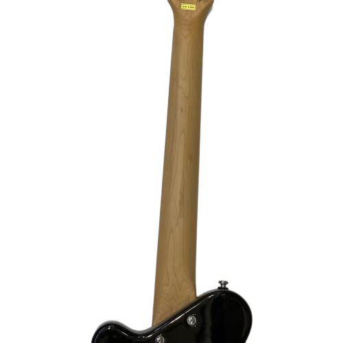 Pignose (ピグノース) アンプ内蔵エレキギター PGG200BS