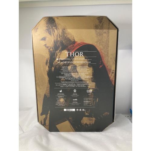 Hot toys (ホットトイズ) ソー（ライト・アーマー版） フィギュア 1/6スケール 「マイティ・ソー/ダーク・ワールド」