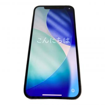 Apple (アップル) iPhone12 Pro MGM63J/A