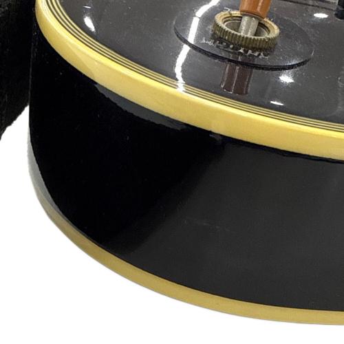 Burny (バーニー) ダイヤモンドインレイ期 レスポールタイプ エレキギター RACシリーズ 1980年代