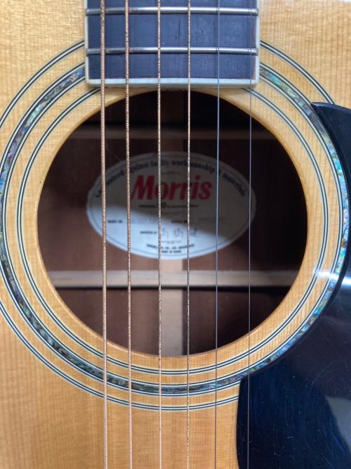 MORRIS (モーリス) ドレッドノート アコースティックギター W-501 NAT