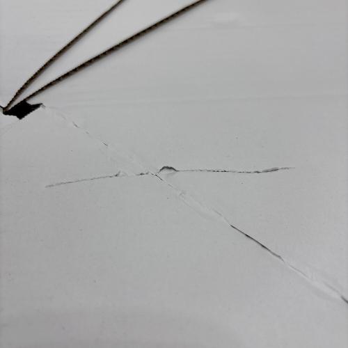 Snow peak (スノーピーク) 焚火台L スターターセット 焚火台 SET-112S
