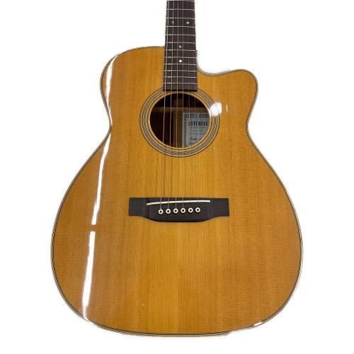 ASTURIAS (アストリアス) Soro Series Soro Standard S アコースティックギター