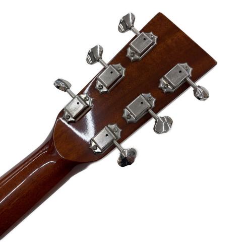ASTURIAS (アストリアス) Soro Series Soro Standard S アコースティックギター
