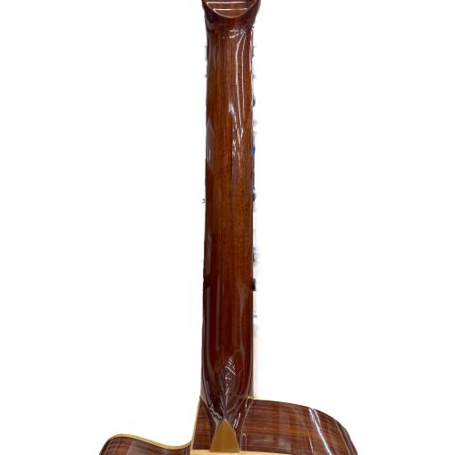 ASTURIAS (アストリアス) Soro Series Soro Standard S アコースティックギター
