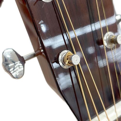 ASTURIAS (アストリアス) Soro Series Soro Standard S アコースティックギター