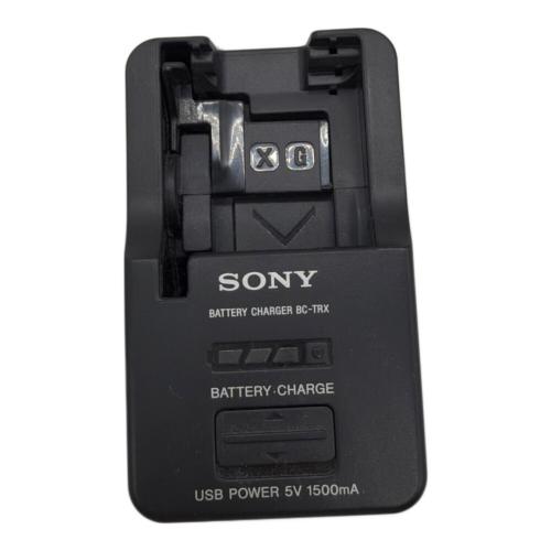 SONY (ソニー) アクションカメラ HDR-AS300 2017年製
