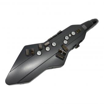 ROLAND (ローランド) Aerophone AE-05
