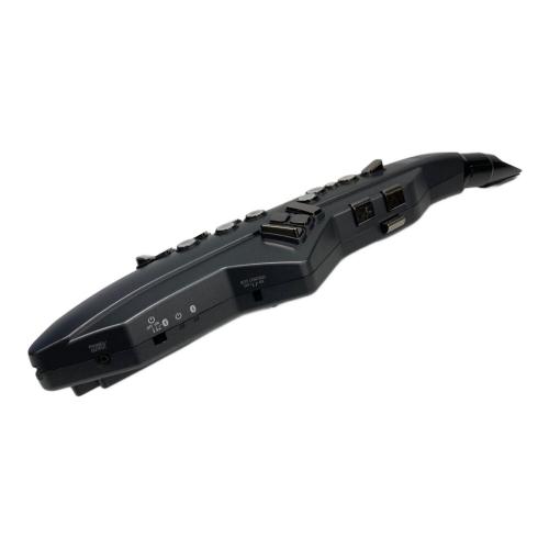 ROLAND (ローランド) Aerophone AE-05