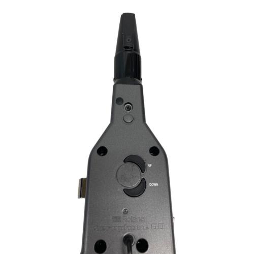 ROLAND (ローランド) Aerophone AE-05