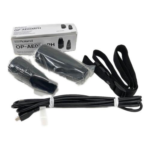 ROLAND (ローランド) Aerophone AE-05