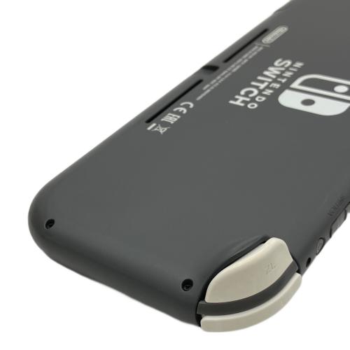 Nintendo (ニンテンドー) Nintendo Switch Lite HDH-001