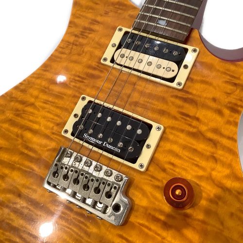 Paul Reed Smith (ポールリードスミス) エレキギター @ SE Custom 22 動作確認済み K20163