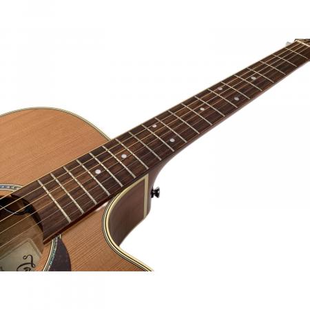 Takamine (タカミネ) アコースティックギター PTU731KC N