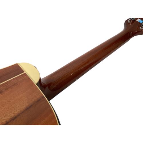 Takamine (タカミネ) アコースティックギター PTU731KC N