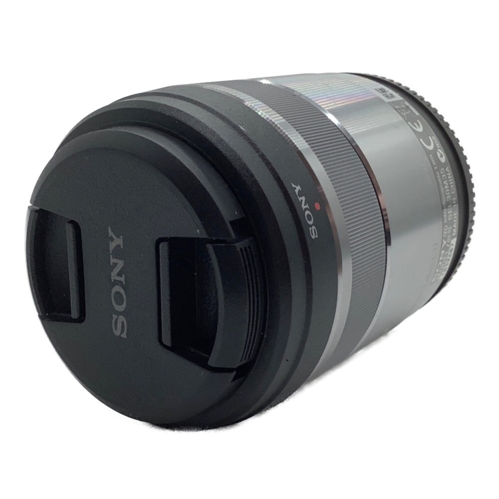 世界的に E30mm SONY レンズ(単焦点) F3.5 (SEL30M35) Macro レンズ(単 