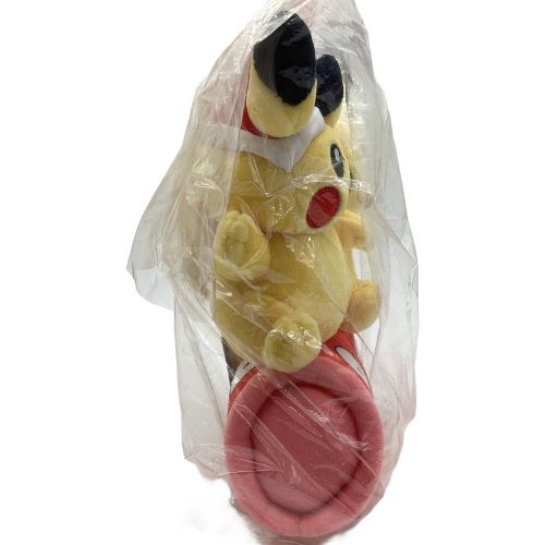 ヌイグルミ マンスリーペアピカチュウ 2016 5月 「ポケットモンスター」 ポケモンセンター限定