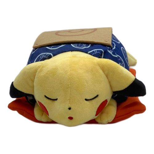 マンスリーピカチュウ 2016 2月