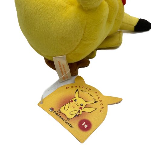 マンスリーピカチュウ 1月