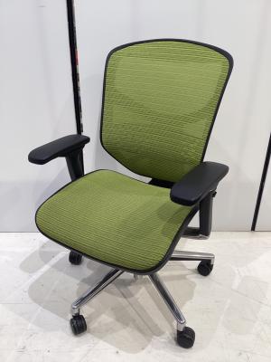 Ergohuman (エルゴヒューマン) ワークチェアー 黄緑 38 キャスター付 ENJOY