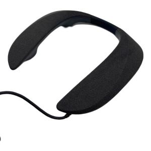 Panasonic (パナソニック) ネックスピーカー