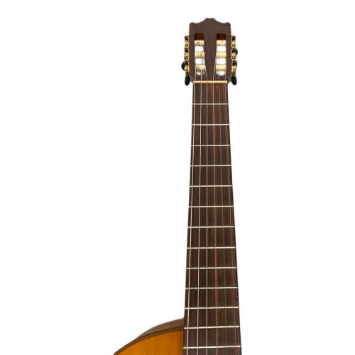 IBANEZ (アイバニーズ) エレアコギター GA40SFCE-AM-2Y-01 動作確認済み GS09E053891