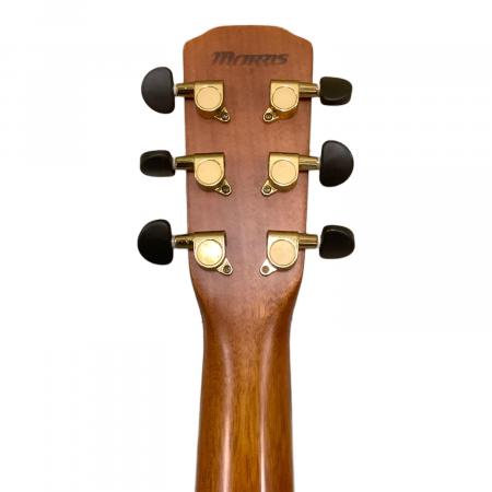 MORRIS (モーリス) アコースティックギター F-51NAT｜トレファクONLINE