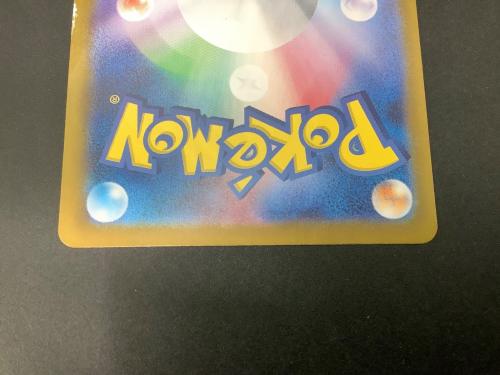 シロナのガブリアスex ポケモンカード 087/063 SAR