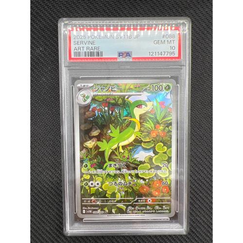 ジャノビー ポケモンカード 088/086 AR PSA鑑定10