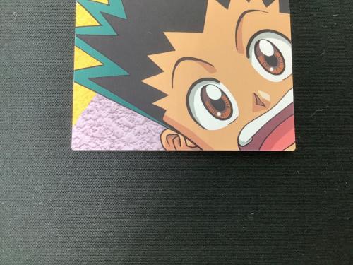 HUNTER×HUNTER (ハンター×ハンター) ゴン クラピカ カード 129