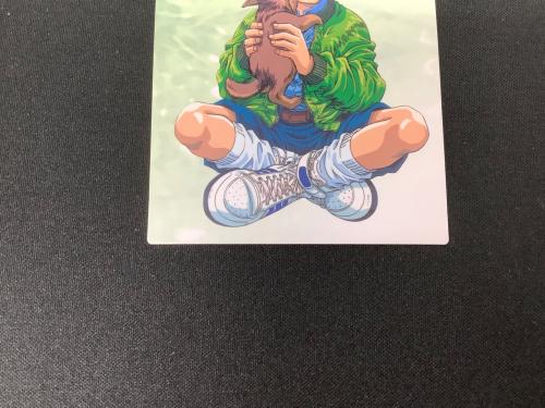 HUNTER×HUNTER (ハンター×ハンター) クラピカ ゴン カード 127