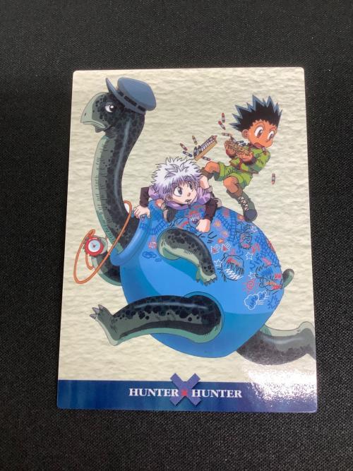 HUNTER×HUNTER (ハンター×ハンター) ゴン キルア カード 134