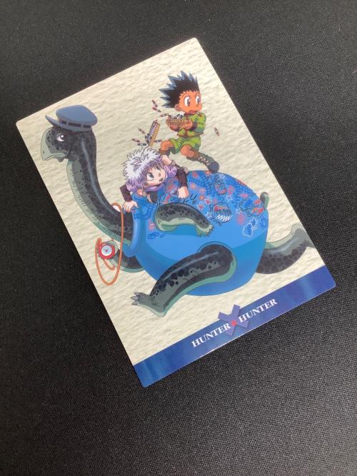 HUNTER×HUNTER (ハンター×ハンター) ゴン キルア カード 134