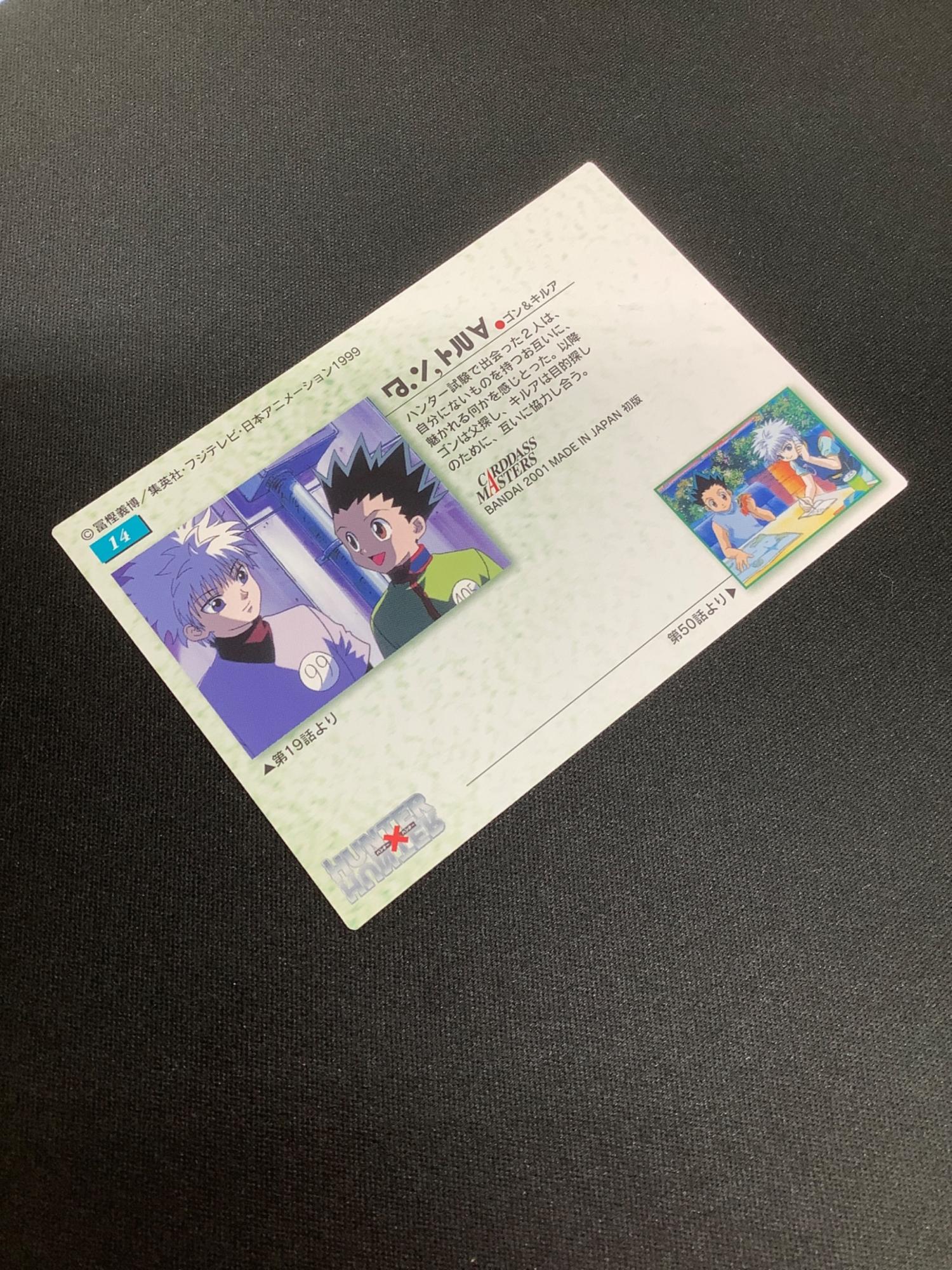 HUNTER×HUNTER (ハンター×ハンター) ゴン キルア カード 14