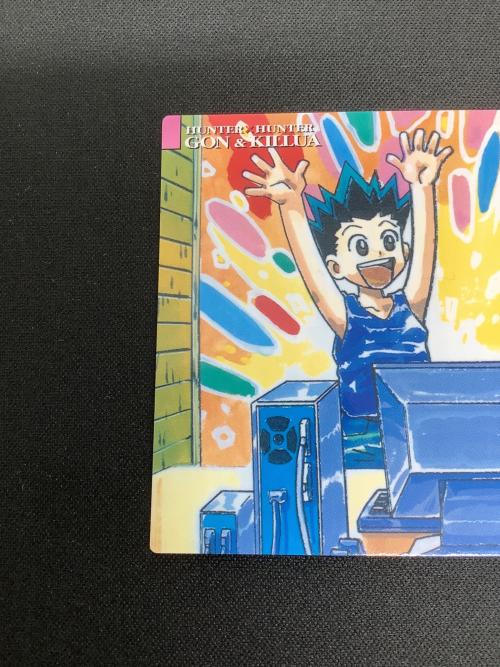 HUNTER×HUNTER (ハンター×ハンター) ゴン キルア カード 14