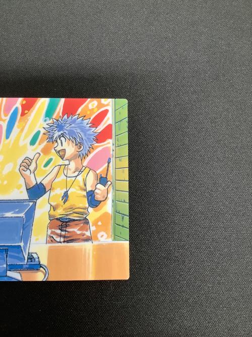 HUNTER×HUNTER (ハンター×ハンター) ゴン キルア カード 14