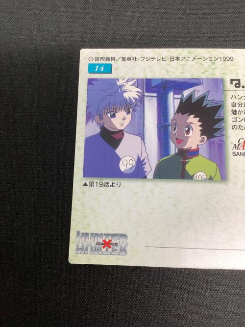 HUNTER×HUNTER (ハンター×ハンター) ゴン キルア カード 14