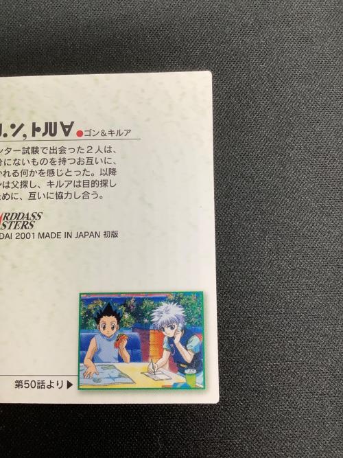 HUNTER×HUNTER (ハンター×ハンター) ゴン キルア カード 14
