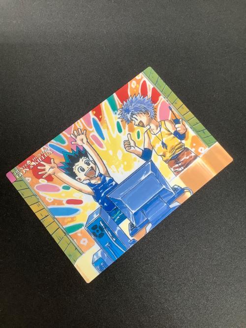 HUNTER×HUNTER (ハンター×ハンター) ゴン キルア カード 14