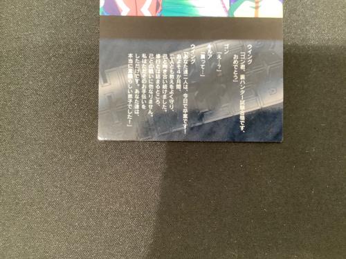 HUNTER×HUNTER (ハンター×ハンター) ゴン キルア カード 95