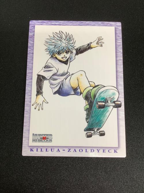 HUNTER×HUNTER (ハンター×ハンター) ゴン キルア カード 119