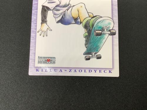 HUNTER×HUNTER (ハンター×ハンター) ゴン キルア カード 119